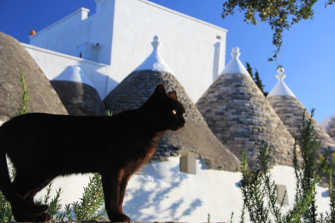 Masseria Trulli Sull'Aia Cisternino Exterior foto